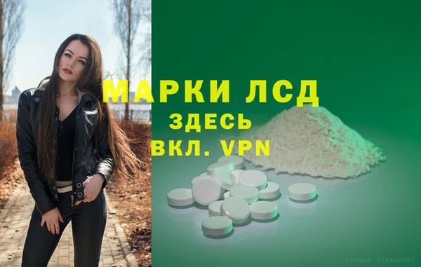 PSILOCYBIN Бугульма