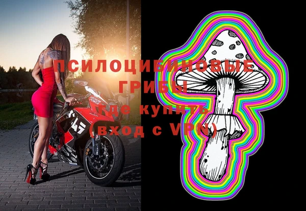 не бодяженный Верхний Тагил