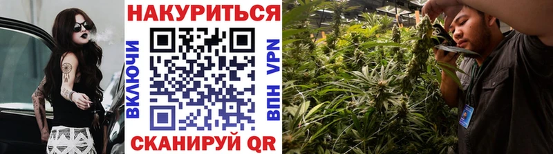 сколько стоит  Донской  Каннабис MAZAR 